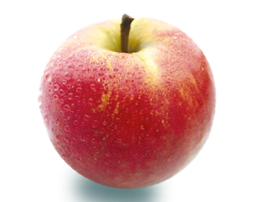 Tips for Picky Eaters – The 3 Es